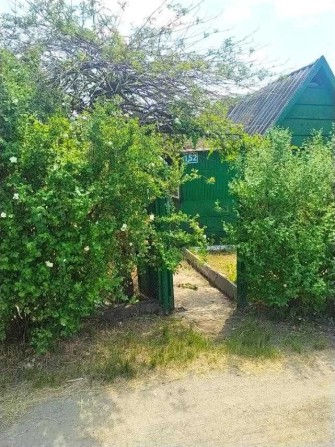 Продается дачный участок в Запорожье, Верхняя Хортица, ул. Розенталь - фото 1