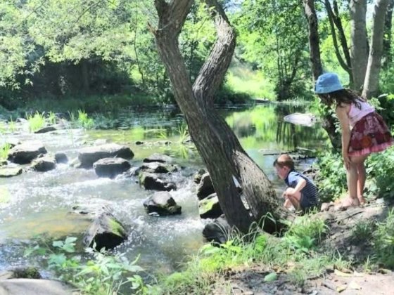 Продам ВЕЛИКИЙ будинок Житомир