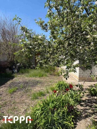 Продаж частини будинку з окремим двором, Тепличне - фото 1