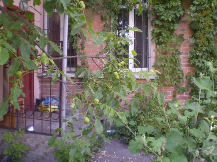 Продаж частини будинку 88 кв.м разом із ділянкою 4 сотки Глобал - фото 1