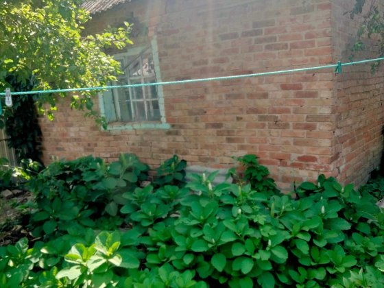 Літня кухня на земельній ділянці Кропивницкий