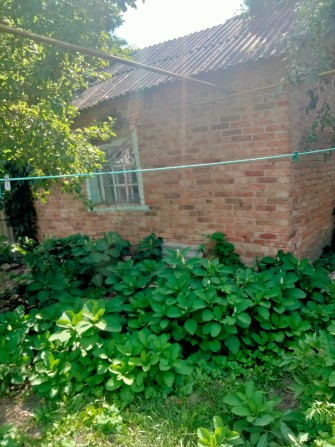 Літня кухня на земельній ділянці - фото 1