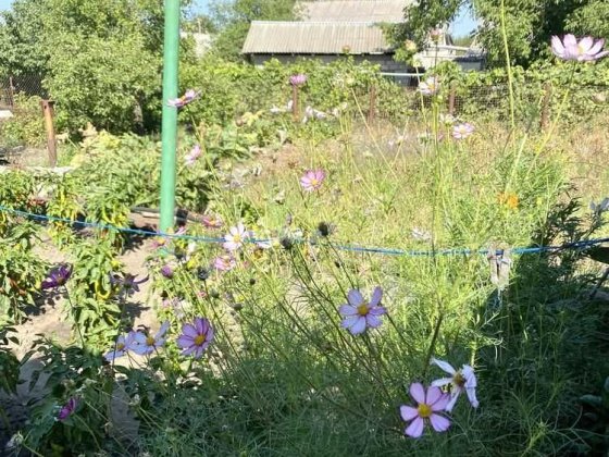 Продам Просторный Светлый дом в Таромском Дніпро