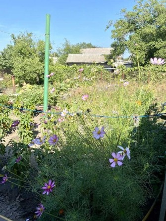 Продам Просторный Светлый дом в Таромском - фото 1