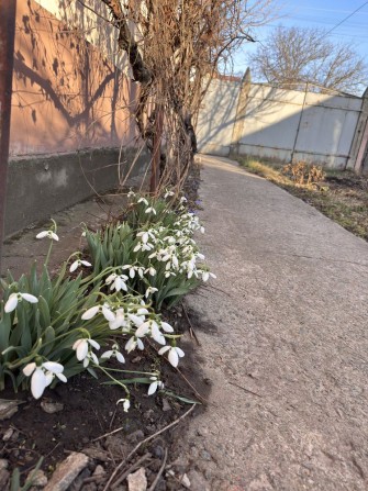 Продам будинок район Телецентру в м. Кропивницький - фото 1