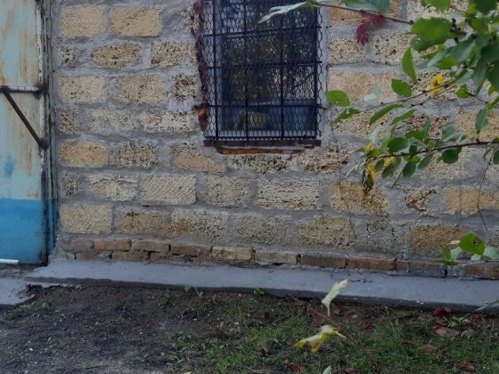 Дом,участок,бизнес.истомина