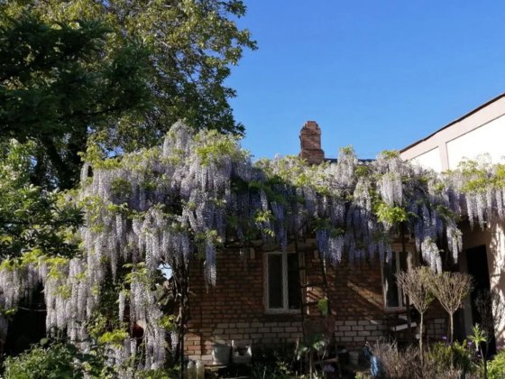 Продам будинок з ексклюзивною земельною ділянкою в центрі міста. Кропивницький