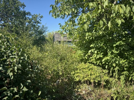 Дача Мрія Темерязево Кропивницкий