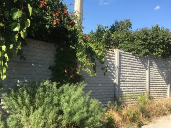 Продам дачу Балабино( Осетровка) Запорожье