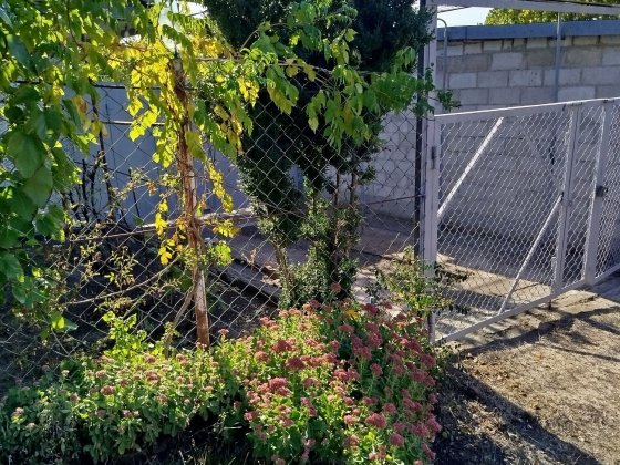 Дача обустроенная приватизированная Днепр