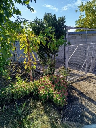 Дача обустроенная приватизированная - фото 1