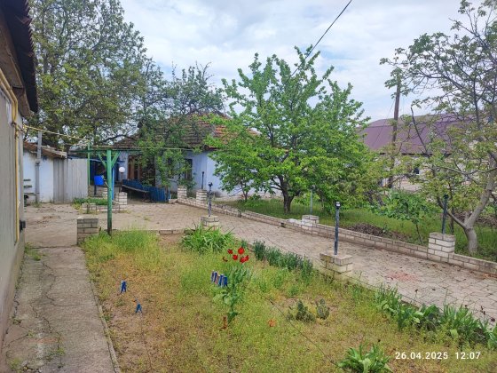 Два будинки з великою територією в Мала Корениха Миколаїв