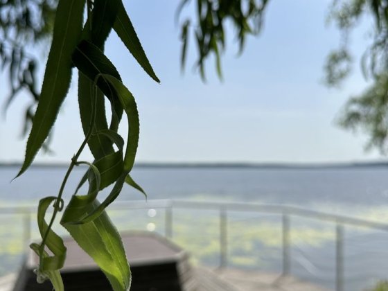 Продам будинок в заповідній зоні міста