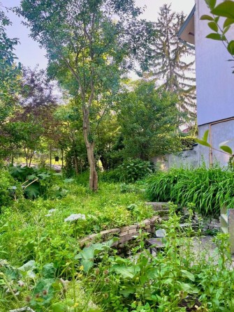 Продаж ділянка та приватний будинок вул. Погулянка - фото 1