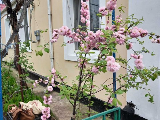 Продам дом с участком Николаев