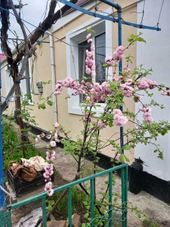 Продам дом с участком - фото 1