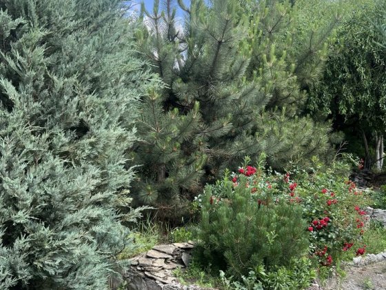 Продам дом с приватизацией земли Харьков,Жихарь 2 Харьков