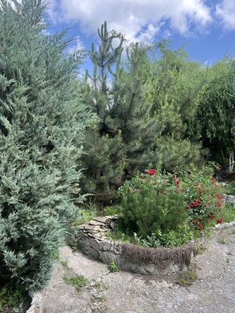 Продам дом с приватизацией земли Харьков,Жихарь 2 - фото 1