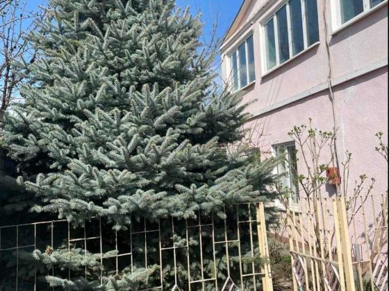 Капитальный дом в черте города!500 м до моря! Полный пакет документов! Одесса