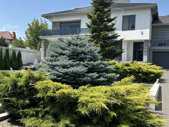 Дом в Совиньоне с ремонтом Одесса