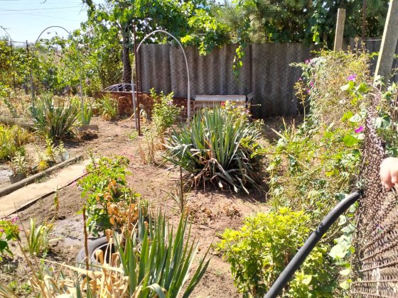 Продается дом пр. Богоявленский. Г Николаев Николаев