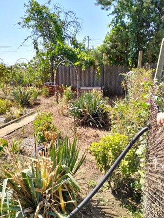 Продается дом пр. Богоявленский. Г Николаев - фото 1