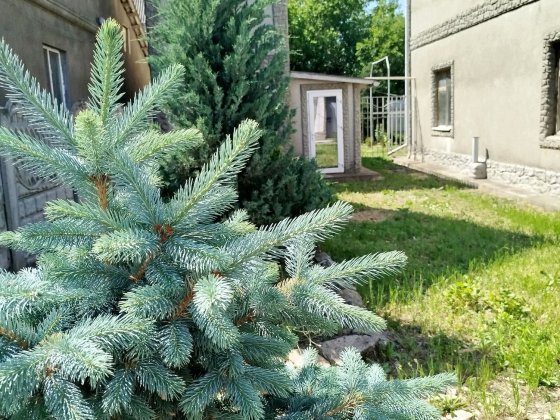 Два домика в районе пос. Котовского Одеса