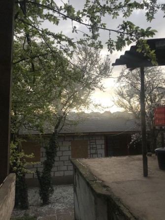 Дом, участок, дача. - фото 1