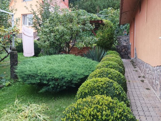 Здається будинок можливо на  дві родини. Мукачево