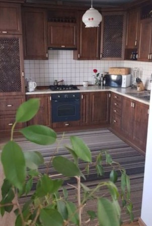 Пропонуємо вам чудовий будинок в оренду! - фото 1