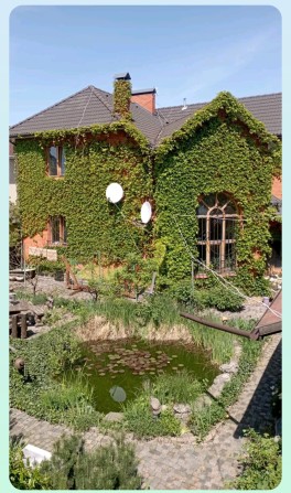 Здається будинок у довгострокову оренду - фото 1