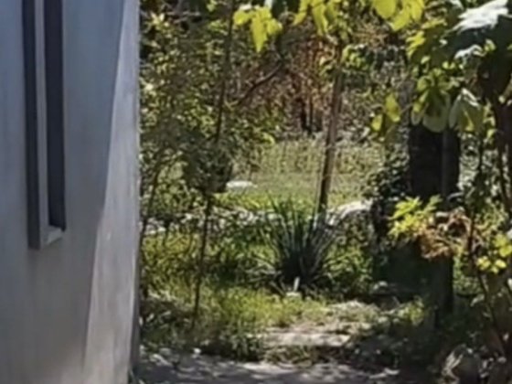 Сдам 2к дом Покровский район Кривой Рог