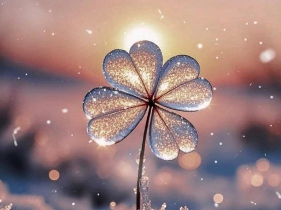 Сдаю дом в центре Кривий Ріг