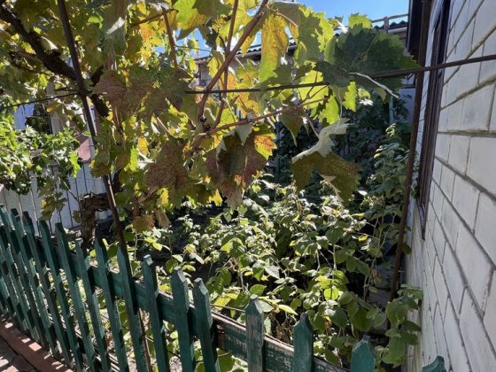 Дом 80м на участке 2 сотки Одеса