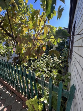 Дом 80м на участке 2 сотки - фото 1