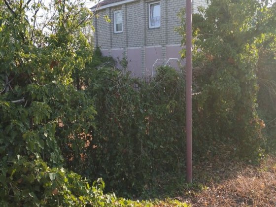 Продам дом под Овидиополем Одесса