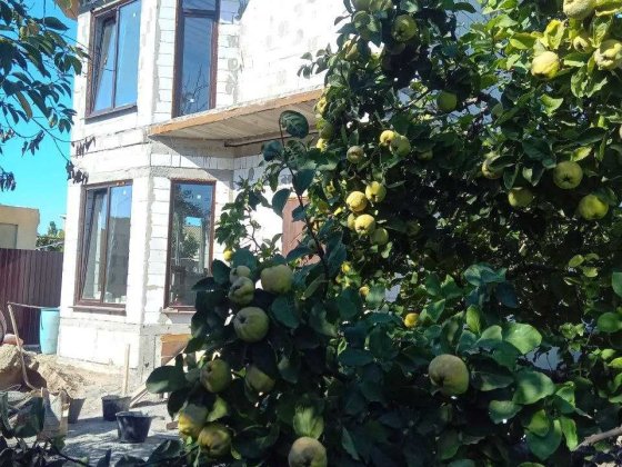 Шикарный новый дом Черемушки. Никто не жил. Гос акт Одесса