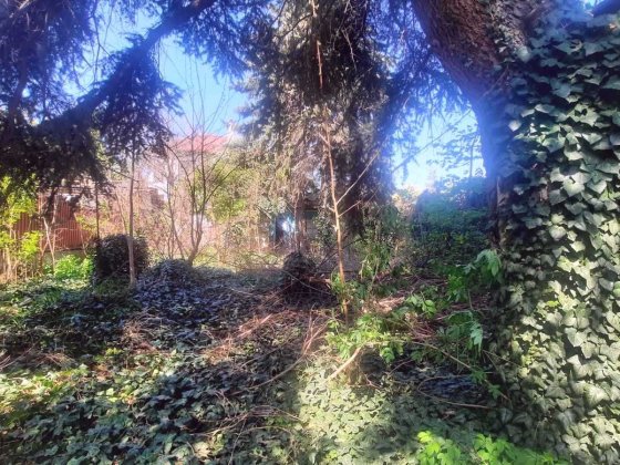 10 Ст. Фонтана/Баштанная/ Окружная Одесса