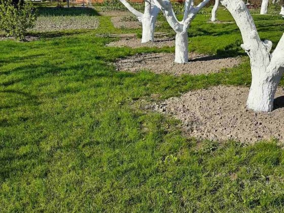 Будинок 156м2 з ділянкою 16сот. Без комісії Софіївська Борщагівка