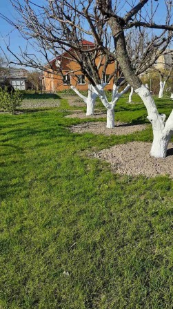 Будинок 156м2 з ділянкою 16сот. Без комісії - фото 1