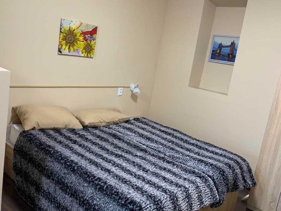 Оренда великого будинку. Вінниця. 10 кімнат. 20 спальних місць. Все є. Вінниця