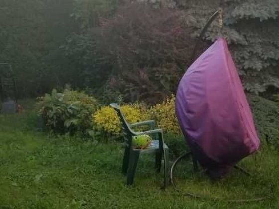 Здам будинок з подвір'ям ,каміном Львов