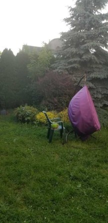 Здам будинок з подвір'ям ,каміном - фото 1