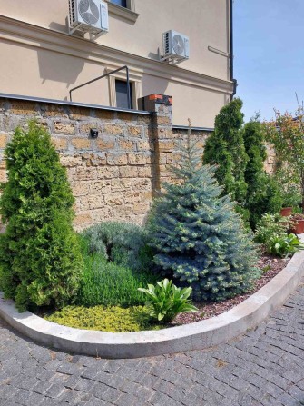 Сдам дом  Совиньон генератор 3 к евроремонт,место для авто можно живот - фото 1