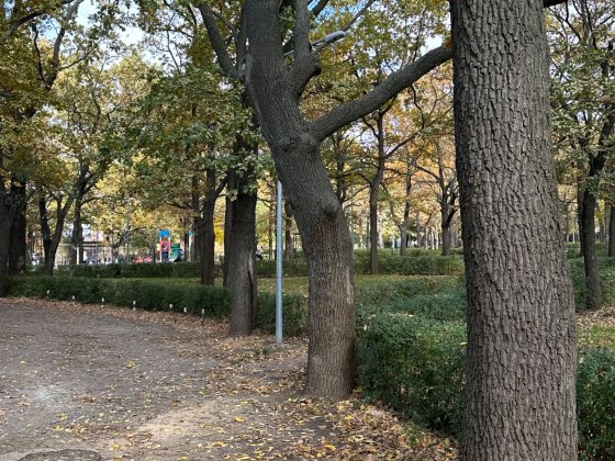 Сдам дом на Макаренко Одеса