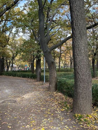 Сдам дом на Макаренко - фото 1