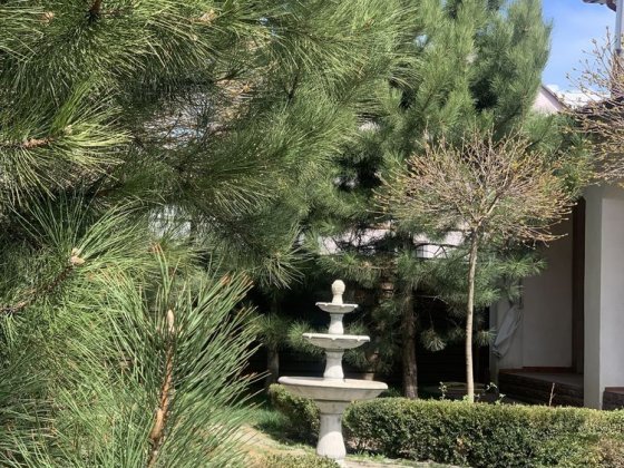 Аренда VIP дома 12 минут от Днера, коммуналка включена! Слобожанське