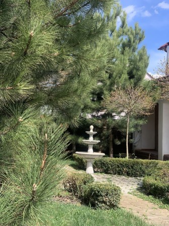 Аренда VIP дома 12 минут от Днера, коммуналка включена! - фото 1