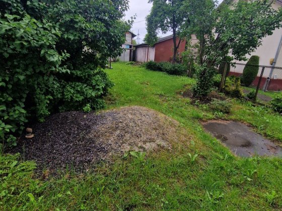 Будинок з двором аренда Свалява