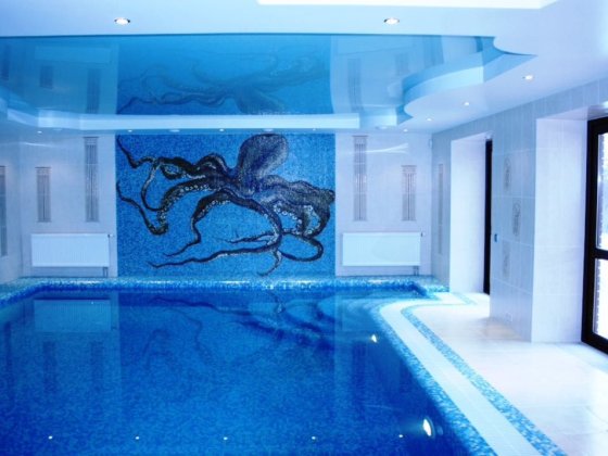 Аренда дома. Конча - Заспа. КГ «Золотые ворота» Крытый бассейн. Козин